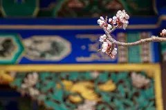 南宫体育app-包含蠄T?%┬9嗸嗇鳮檿畔?飵%€??FF\躟w?>?鴁溶垺?的词条